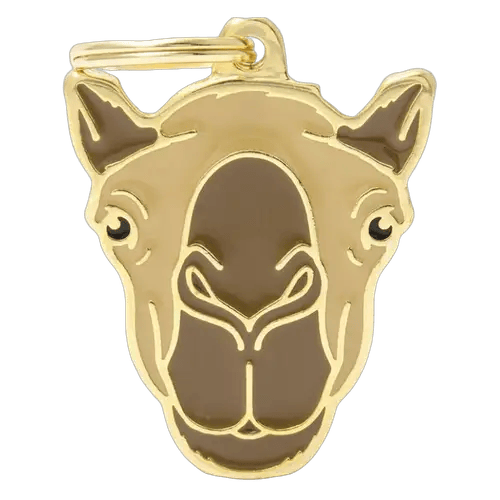 MF Tags CAMEL
