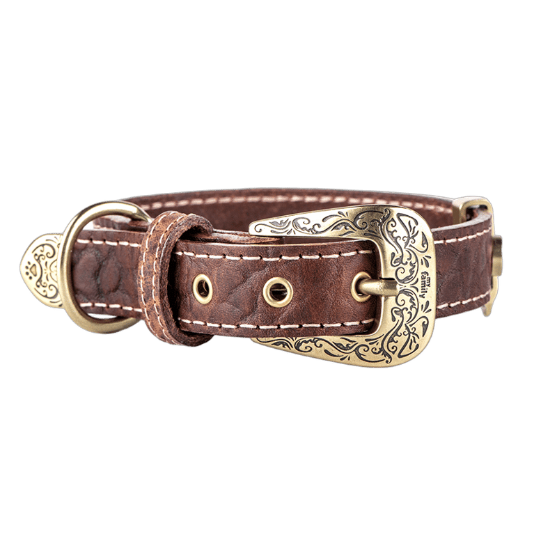 MF EL PASO Collar Leather Brown