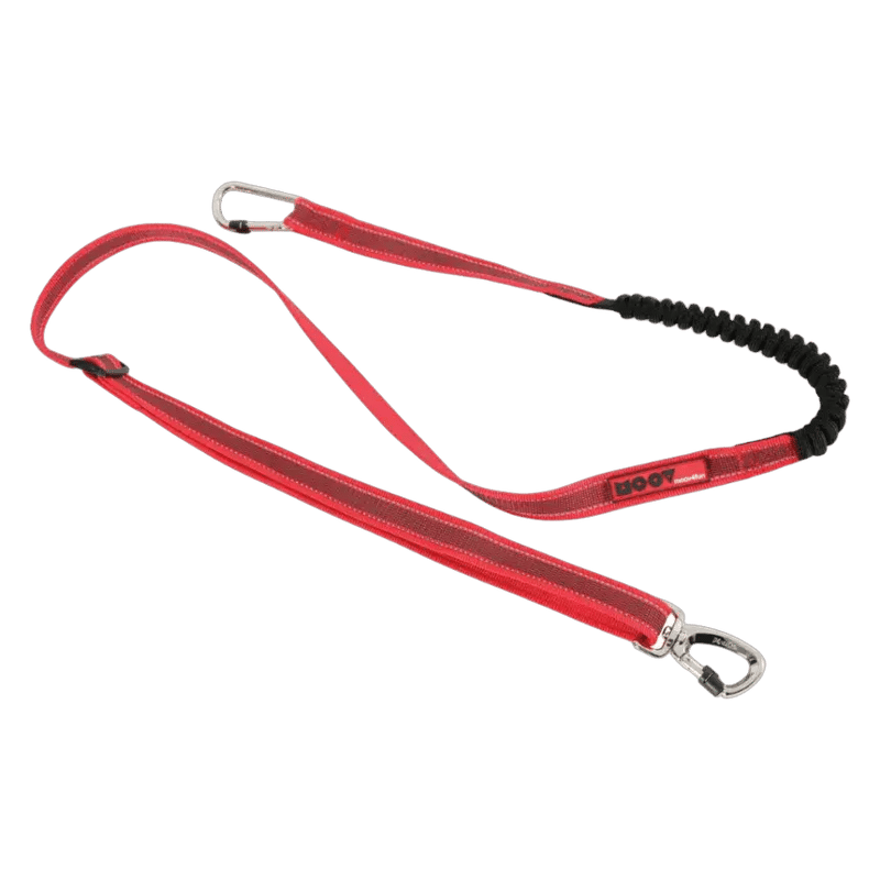 Zolux Moov Jogging Leash Vtt
