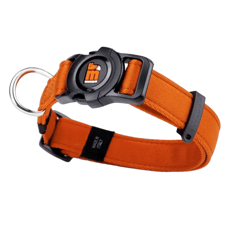 MF Memo Pet Collar Orange