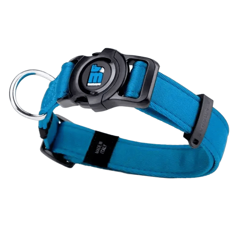 MF Memo Pet Collar Blue