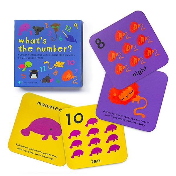 what is the number? Educational number cards