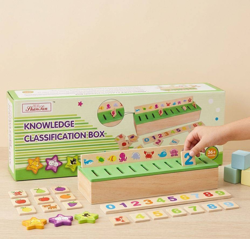 صندوق التصنيف التعليمي للأطفال (Knowledge Classification Box)