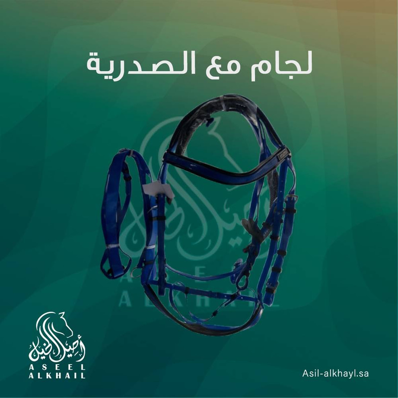 لجام مع الصدرية States