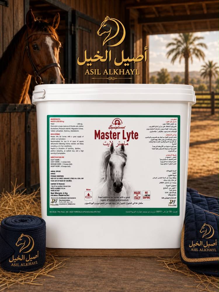 ماستر لايت 4 ك ( املاح ايطالية ) Master Lyte