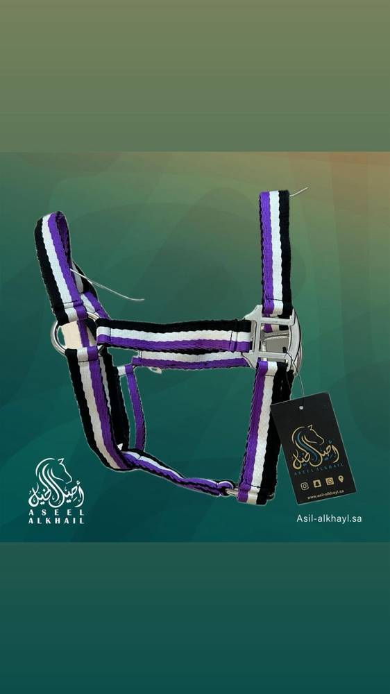 Multi-Color Horse Halter