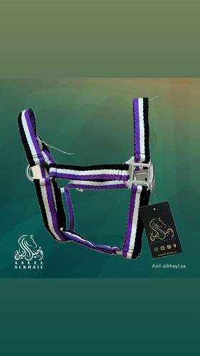 Multi-Color Horse Halter