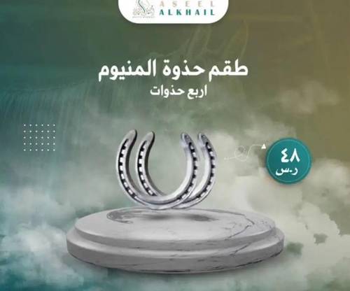 طقم حذوة المونيوم