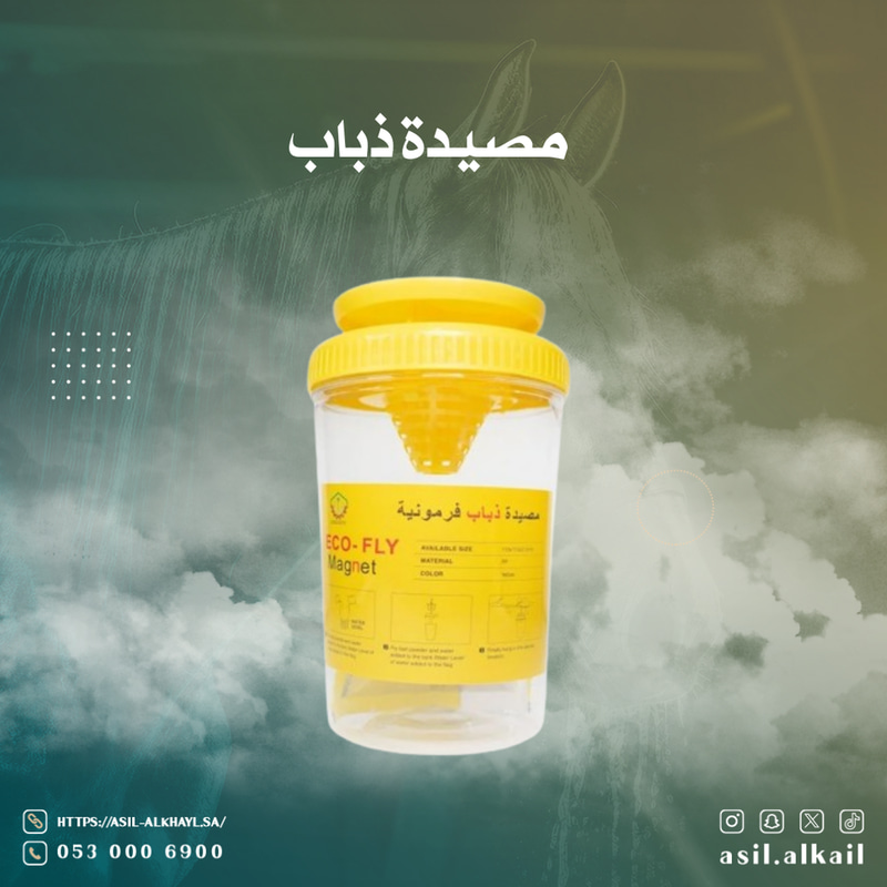 مصيدة ذباب
