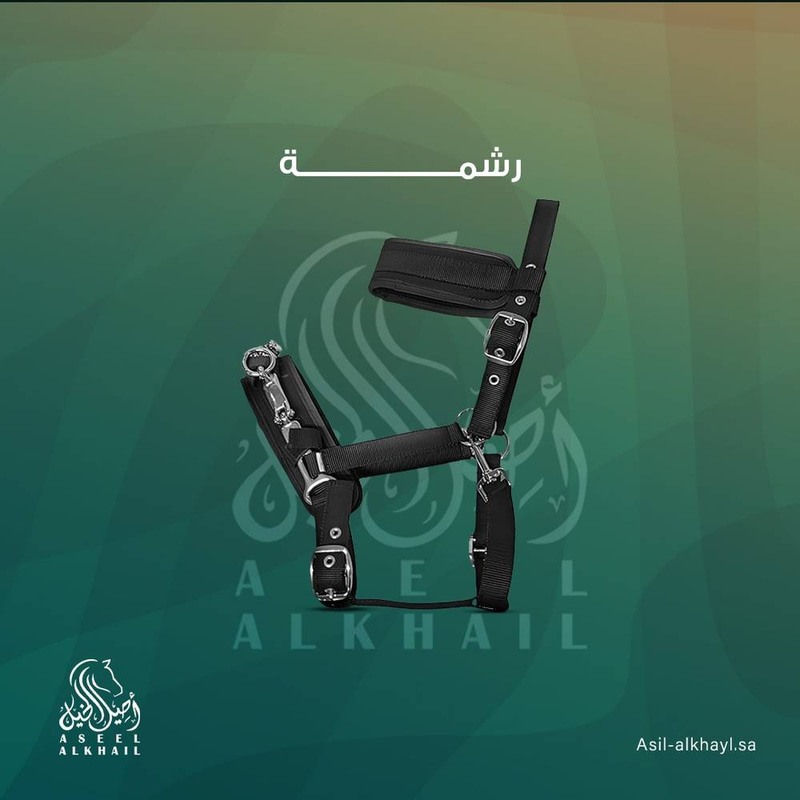 Natural Leather Training Halter