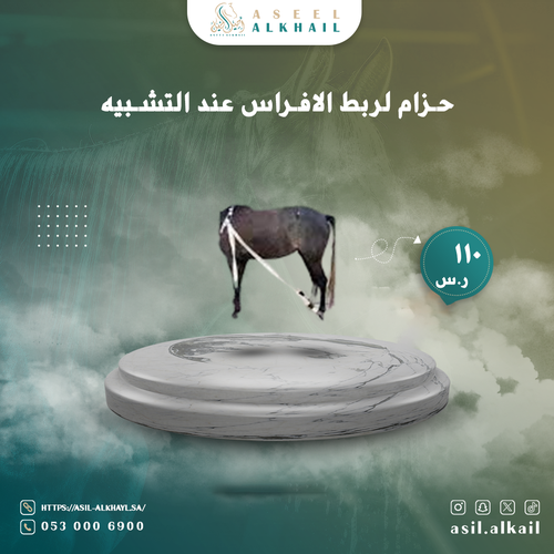 حزام لربط الافراس عند التشبيه