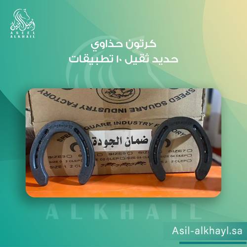 Heavy Iron Horseshoe Box - 10 Sets