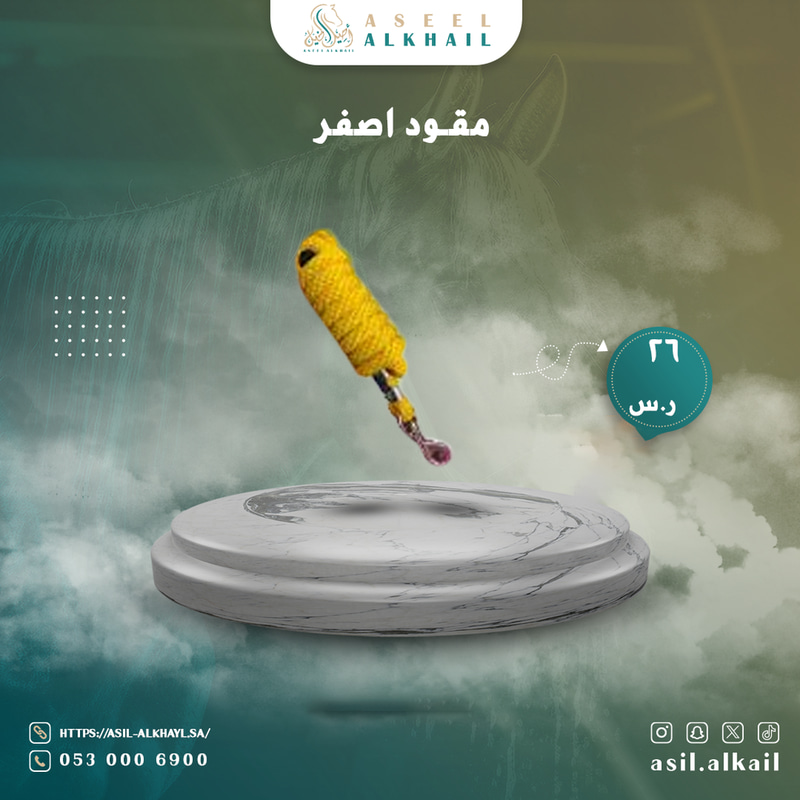 مقود