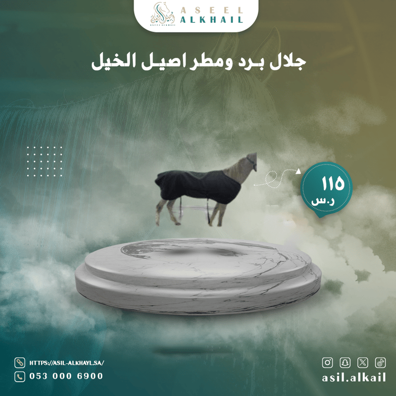 جلال برد ومطر اصيل الخيل 