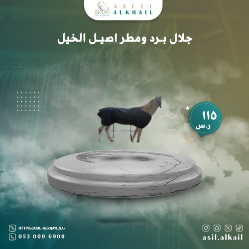 جلال برد ومطر اصيل الخيل 