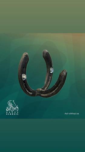 Horseshoe-Shaped Wall Hook - Stable Decor