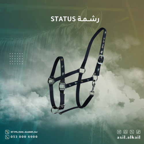 رشمة STATUS 