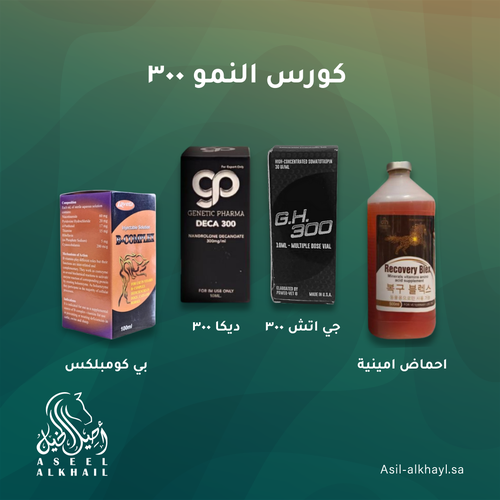 كورس النمو ٣٠٠