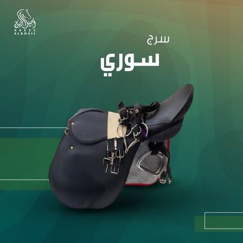 Syrian Saddle Set