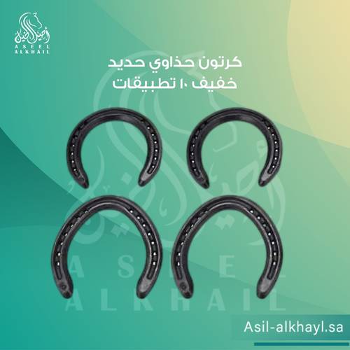 Light Iron Horseshoe Box - 10 Sets