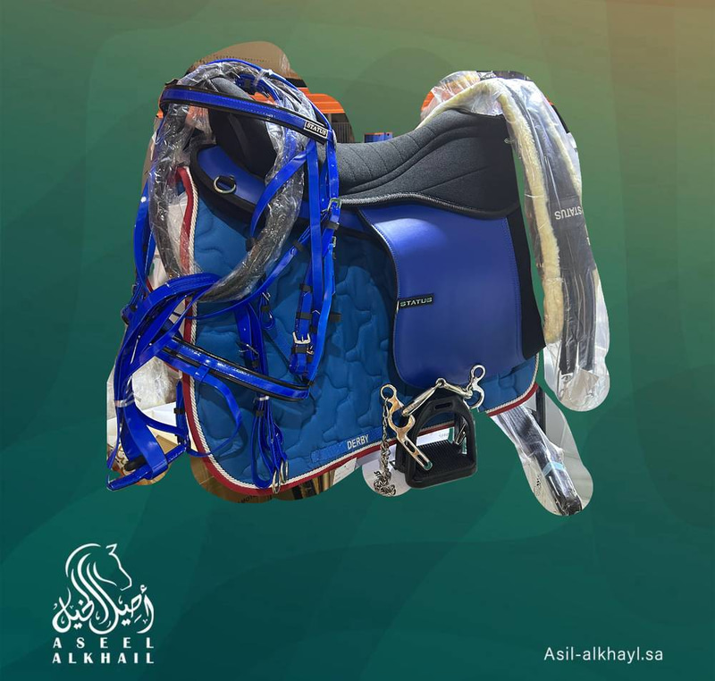 بكج سرج ستيتوس الوان كامل 9 قطع
