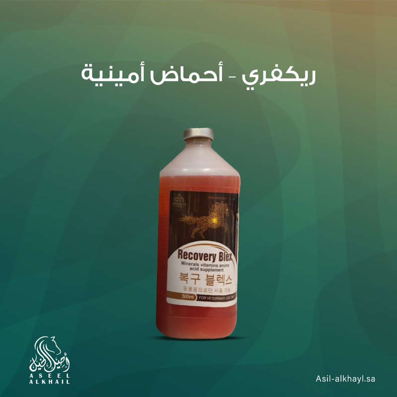 Recovery Blex Amino Acids