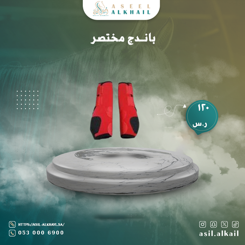 باندج مختصر 