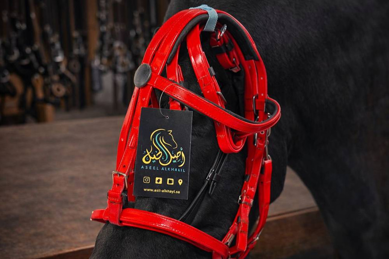 Sissy Rubble Premium Bridle