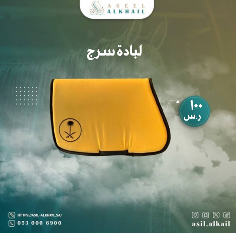 لبادة مزينة بسيفين ونخلة