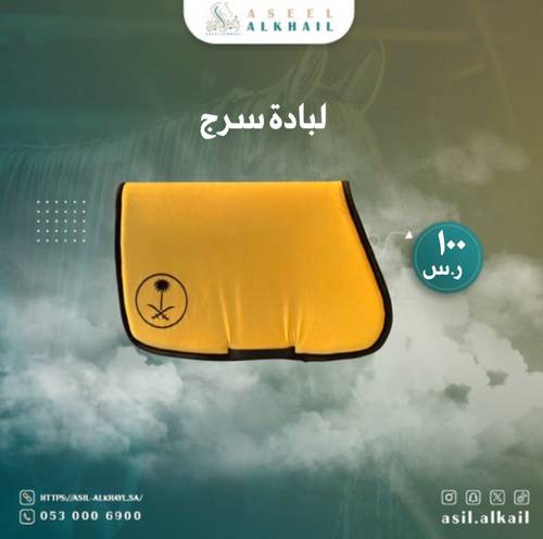 لبادة مزينة بسيفين ونخلة