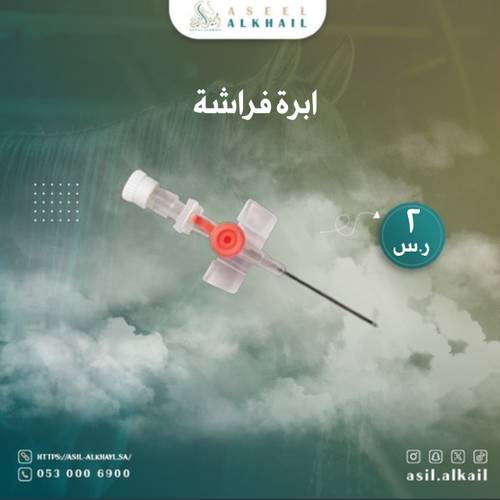 إبرة فراشة