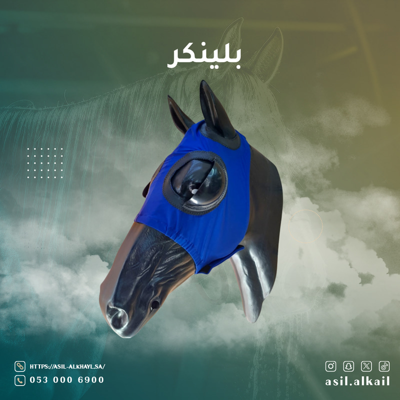 Racing Blinkers Hood