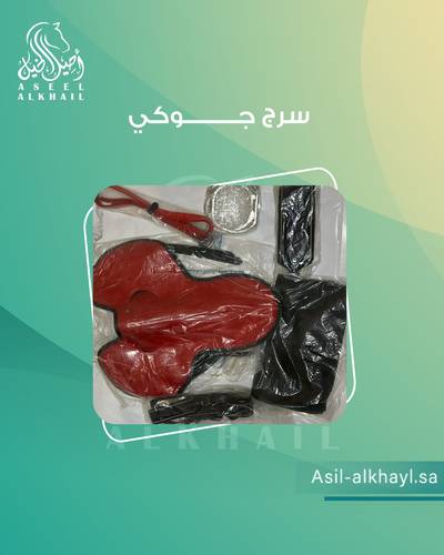 سرج جوكي