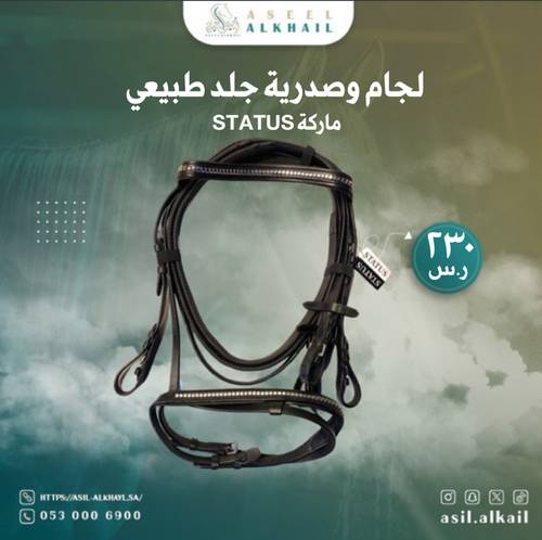 لجام جلد Status