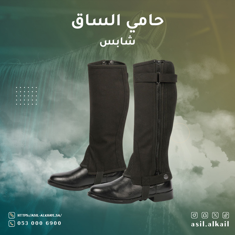 حامي الساق - شابس