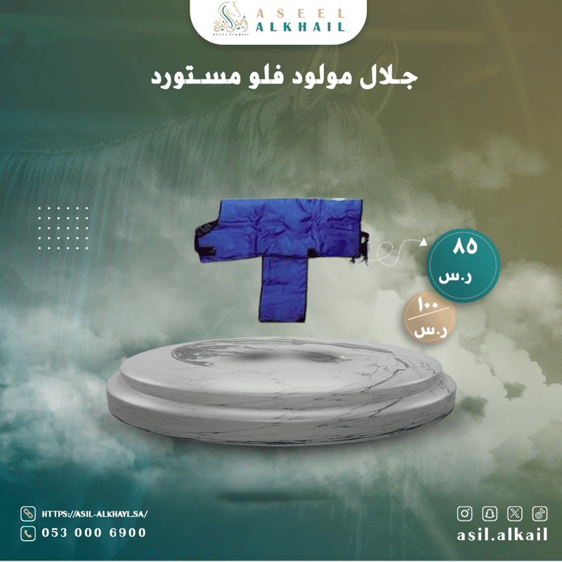 جلال مولود فلو مستورد