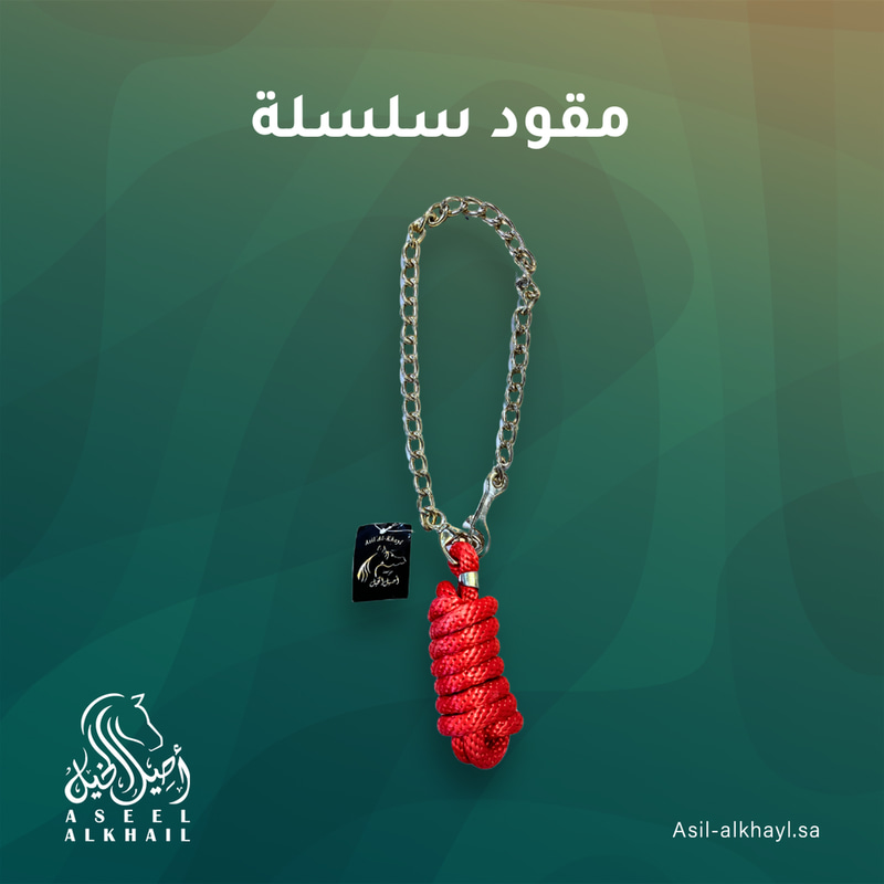 مقود سلسلة