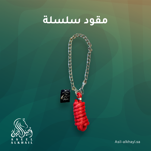 مقود سلسلة