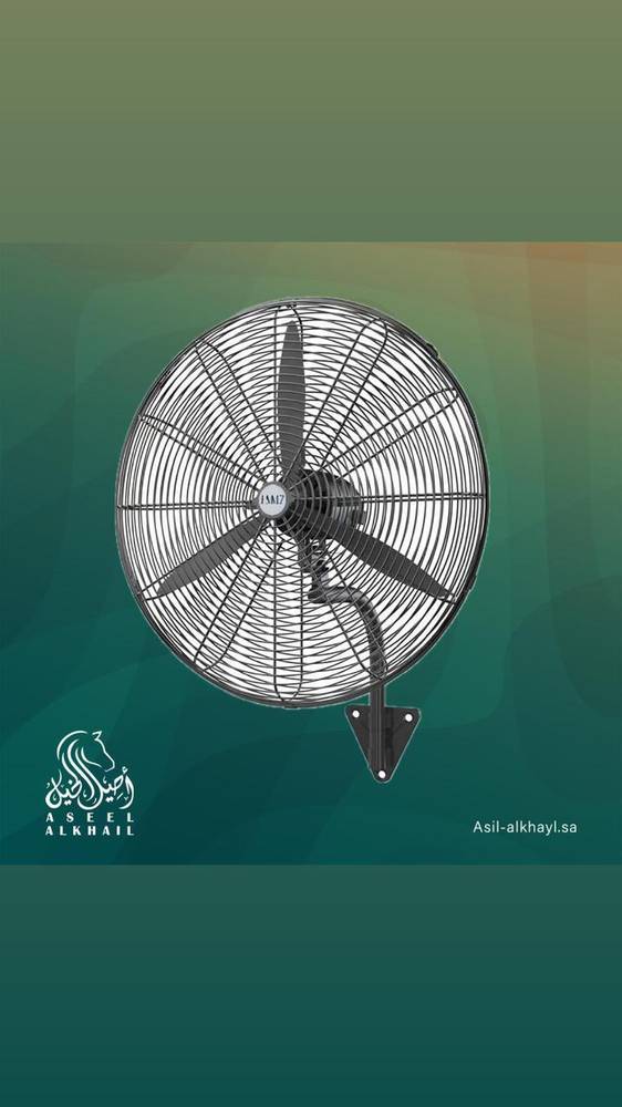 Heavy-Duty Industrial Fan for Stables 750mm