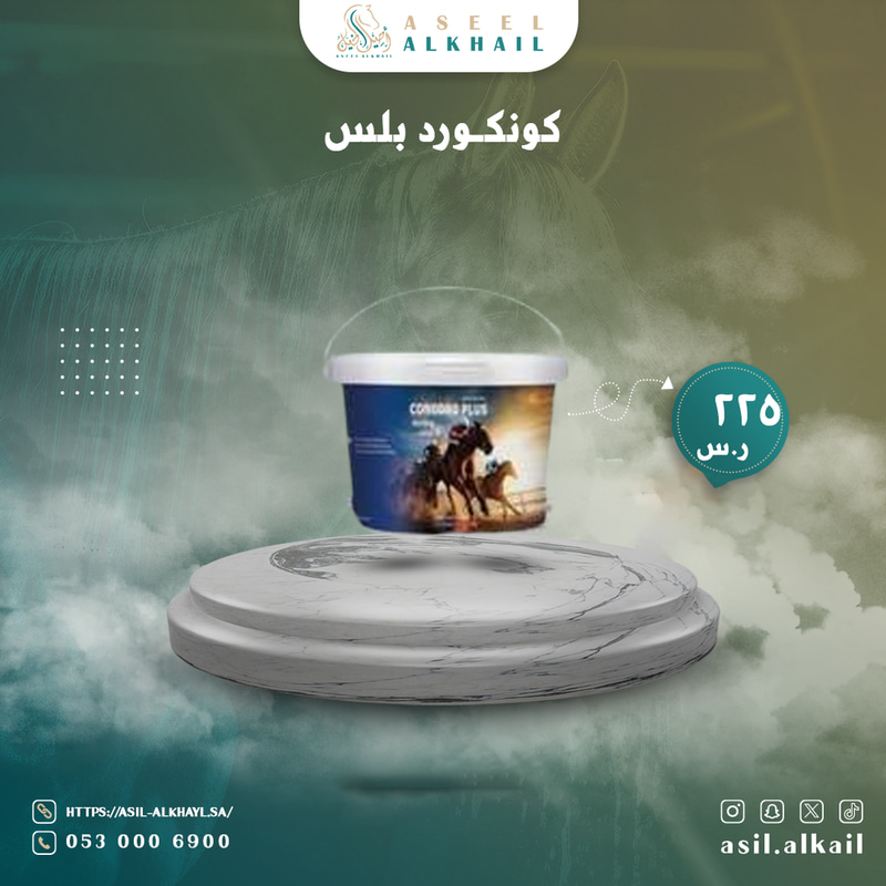 كونكورد بلس