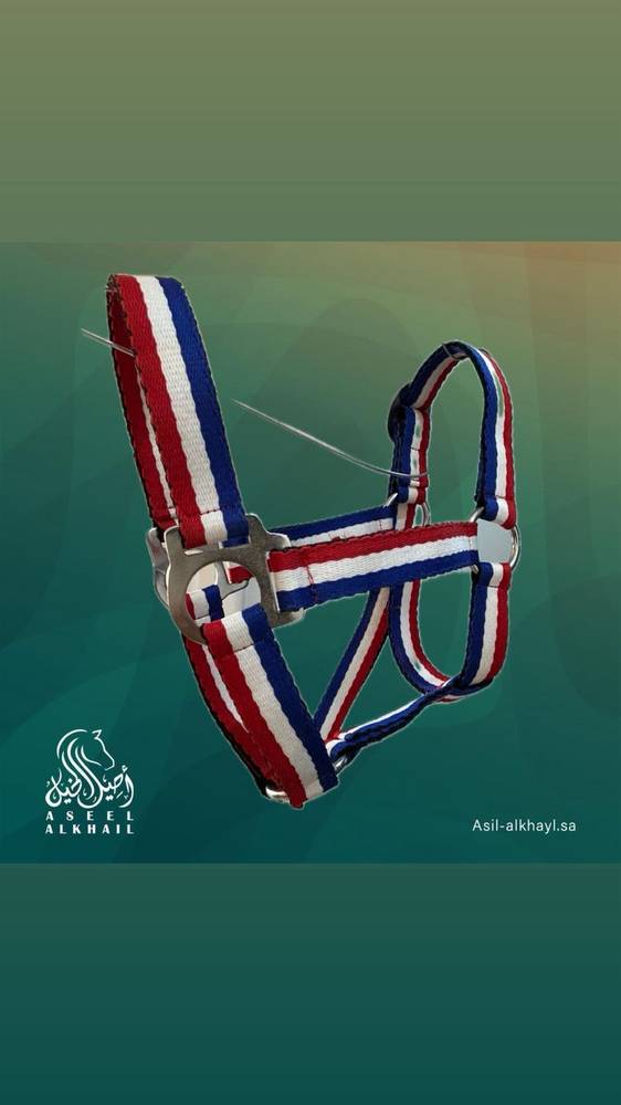 Multi-Color Horse Halter