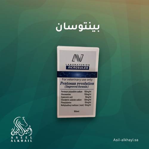 بينتوسان