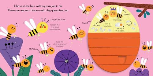Honeybee (My Little Green World)