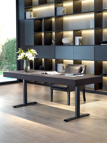 Luxury Electric Height Adjustable Executive Desk