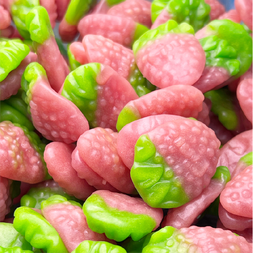 جيلي الفراولة البرية