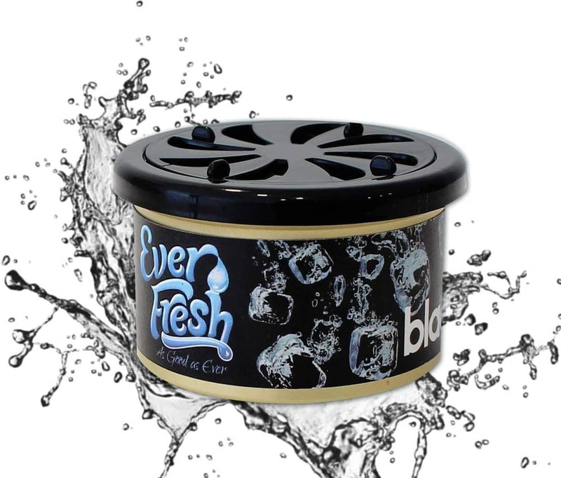 EVERFRESH NEW CAR ORGANIC 46G