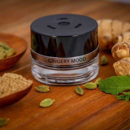 Mercedes-Benz | Gingery Mood Car Perfume 15ml
