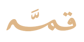 مندوب المتجر