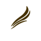 الكتروني