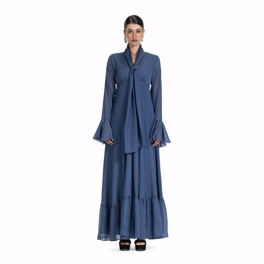 Maison Ein Shimmer Chiffon Lined Maxi Dress